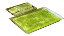Labniya with Pistachio