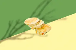 ميني حلوم