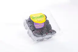 توت اسود