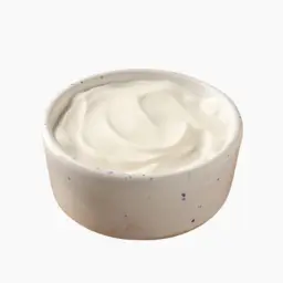 Garlic Sauce Plate
