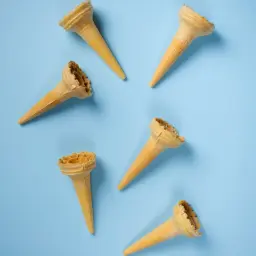 Plain Regular Biscuit