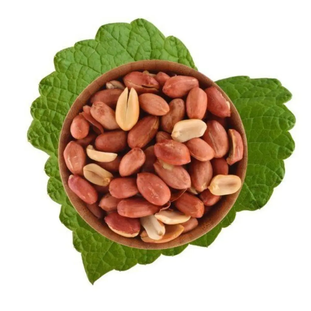 فول سوداني