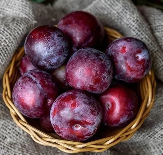 Red plum