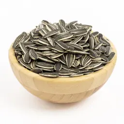 حب شمس ني