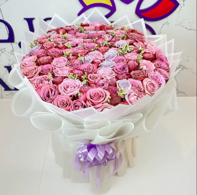 اوف جوي 3