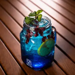 Blueberry Mojito