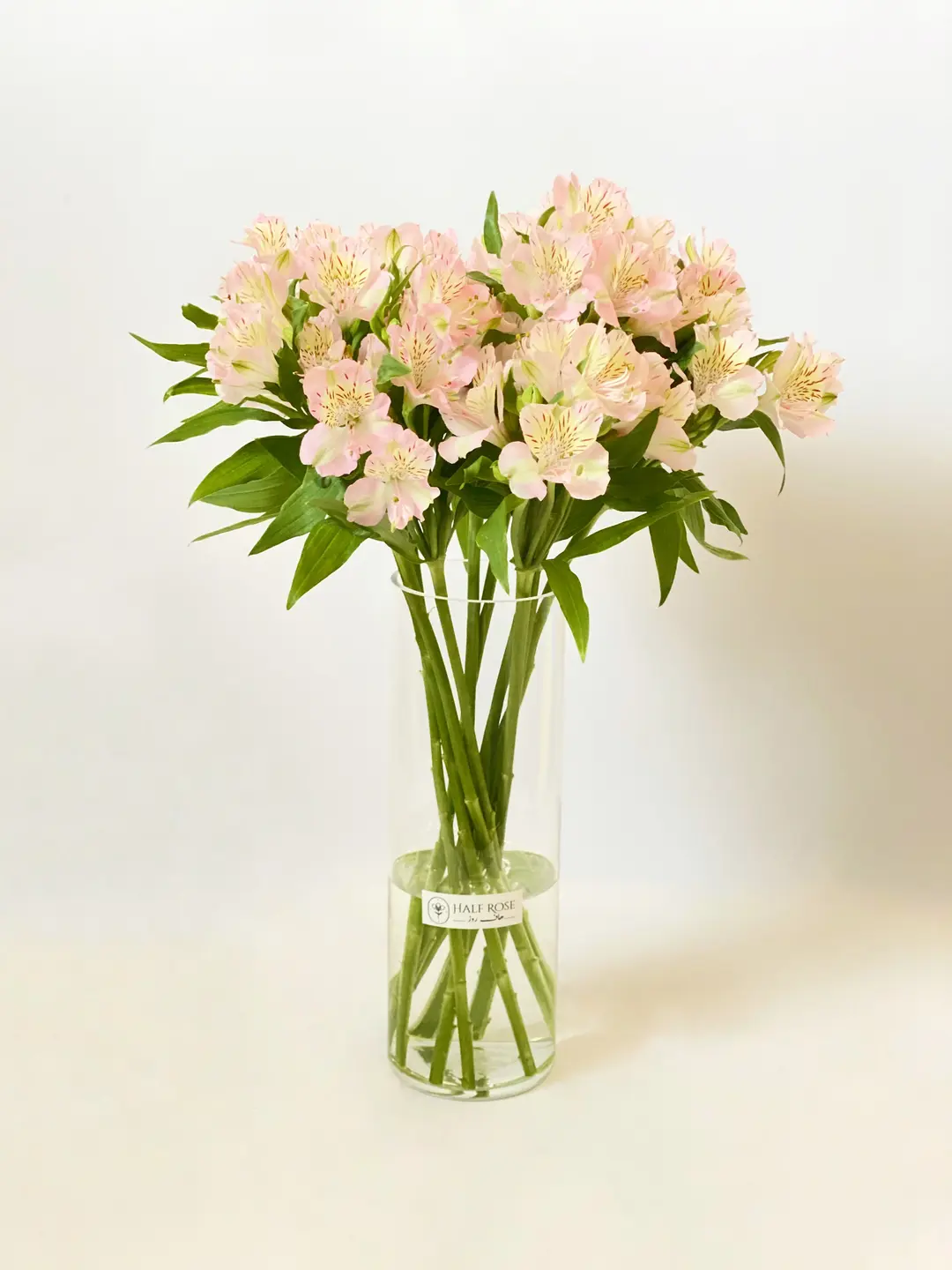 Astomeria Pink Vase