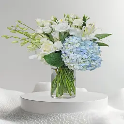 ترتيب ورود الثلج
