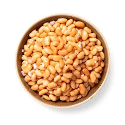 Organic Pinto Beans