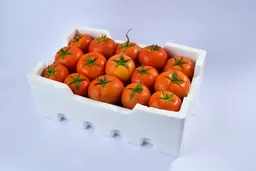 طماطم فلين صغير