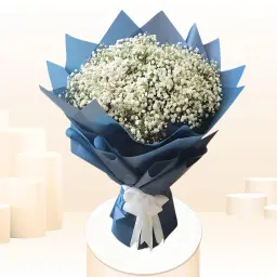 حبيبات الثلج باقة