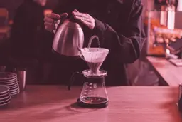 V60 Berries