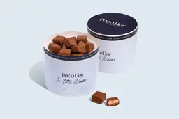 Snickers Ice Cream Bites