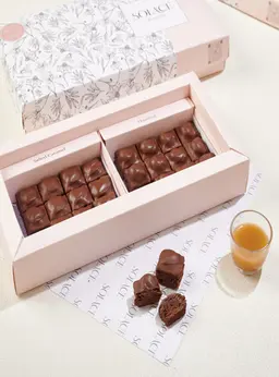براونيز بايتس
