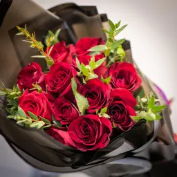 الرومانسية الحمراء