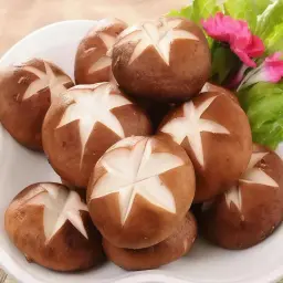 الفطر