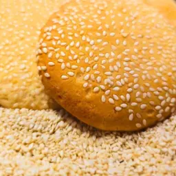 Sesame Biscuit