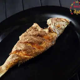 شعري مقلي سادة