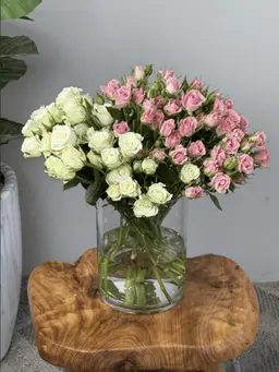 Pink and white baby rose vase
