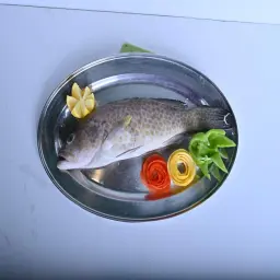 هامور