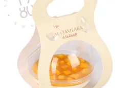 ميني ترافل المنجا