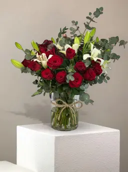 ڤيلاريس