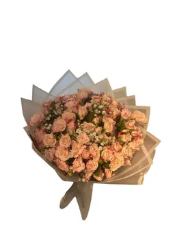 مشاعر مرهفه