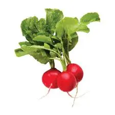 Rad Radish