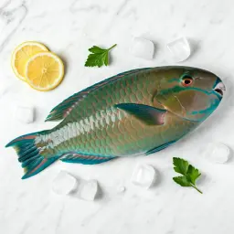 Parrot Fish