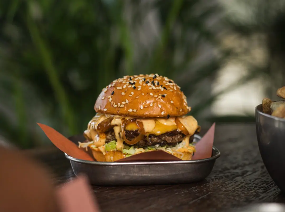 Cheese Slider