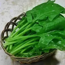 سبانخ