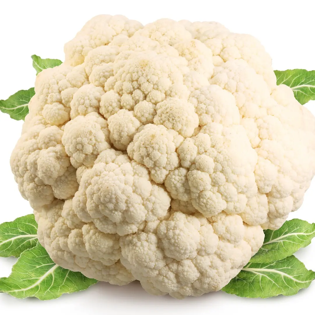 زهرة
