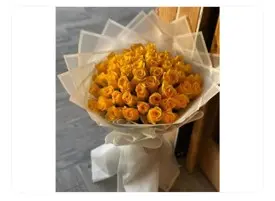 الغيره