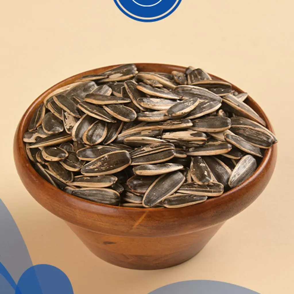 دوار شمس