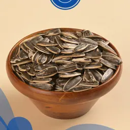 دوار شمس