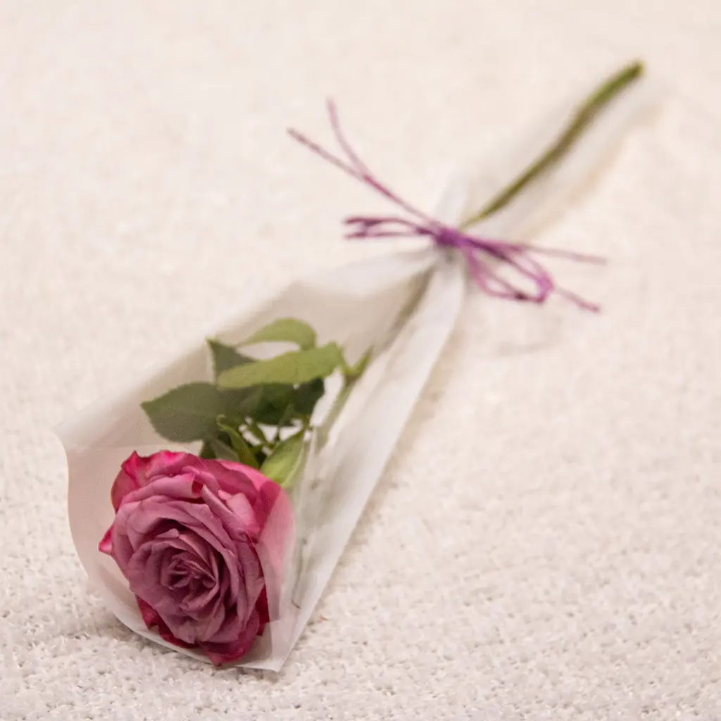 Purple Rose