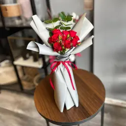 بوتاي 04