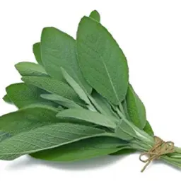 مريمية