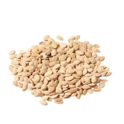 Seeds