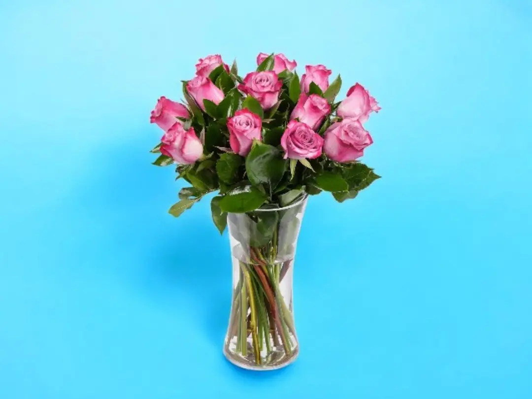 Fuchsia Rose Vase 0214