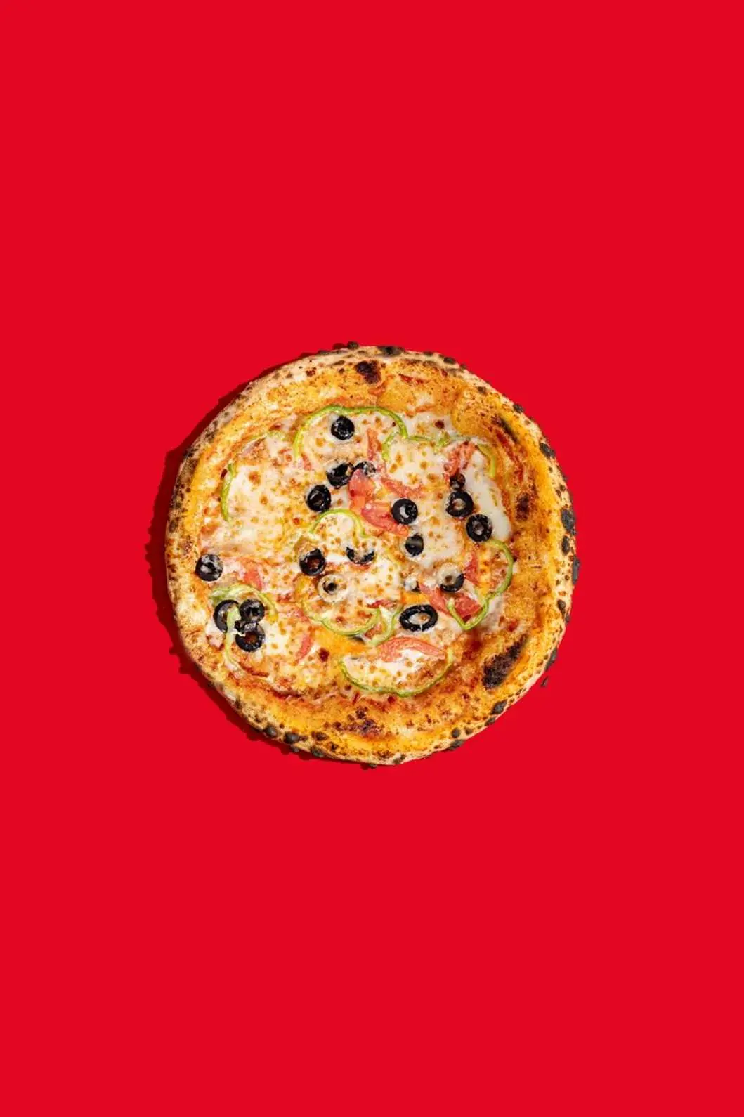 Vegtable pizza
