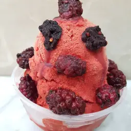 Shami Berry Ice Cream - Medium Cup