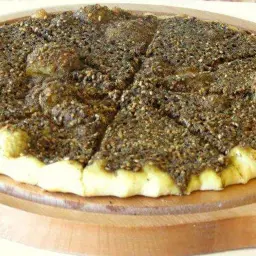 زعتر