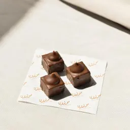 Brownie Bites