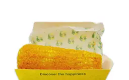 شاكوبي ناري