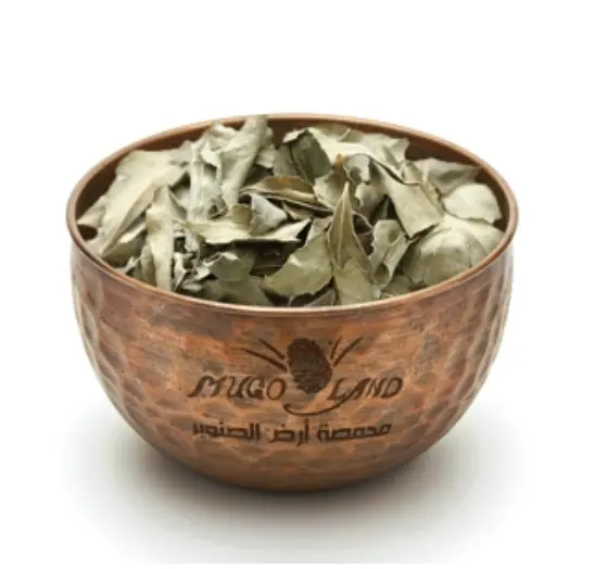 Curry Leaves R279