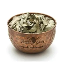Curry Leaves R279
