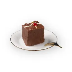 Chocolate Squares