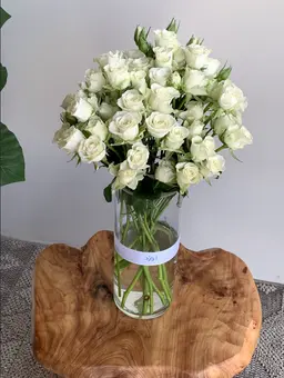 White baby rose vase