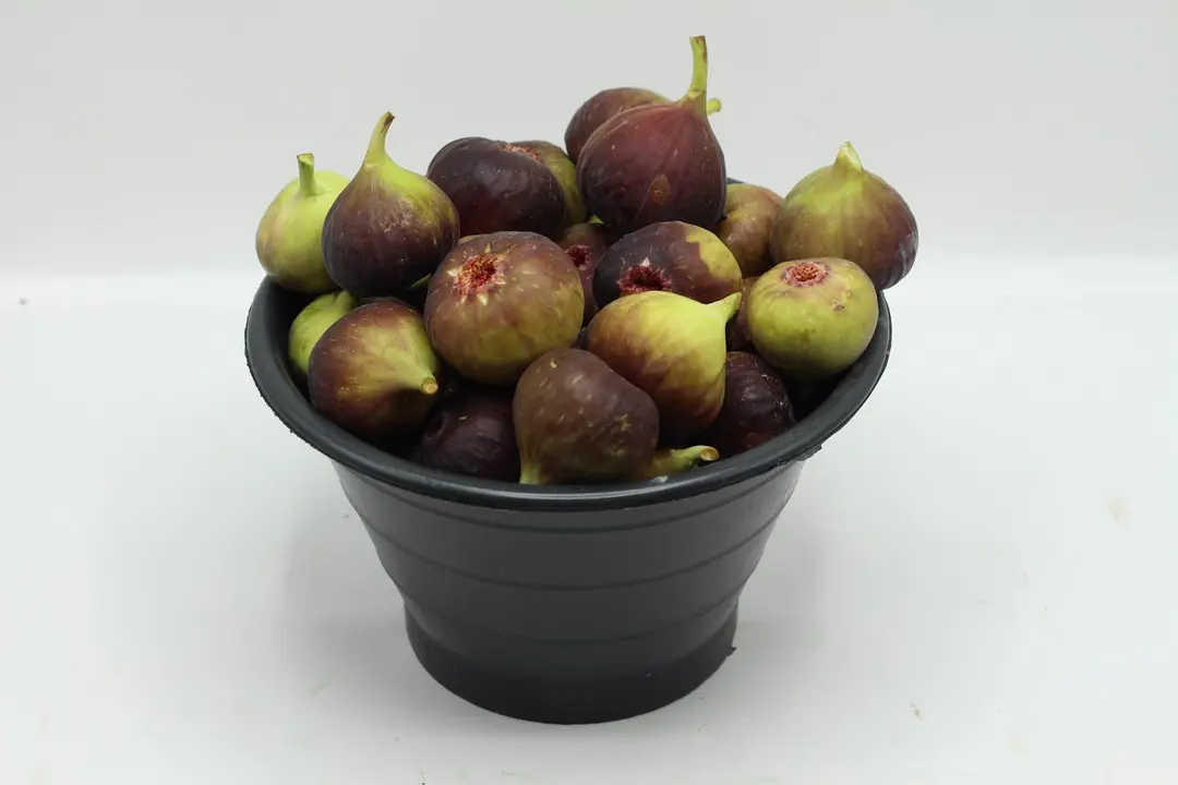 Fig
